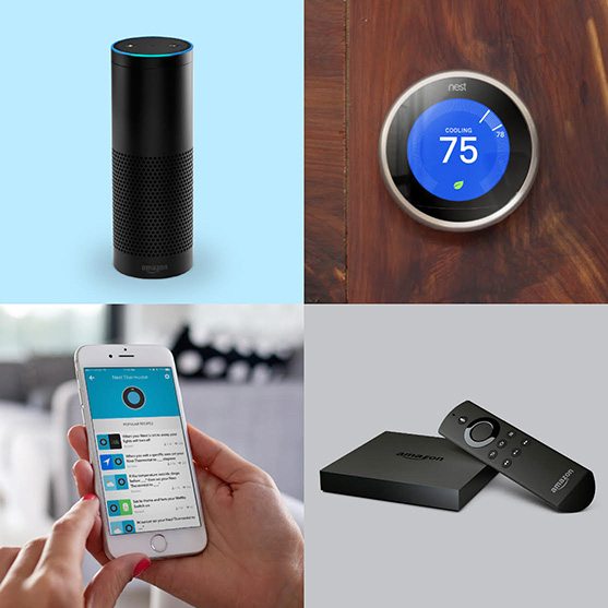 nest amazon echo together