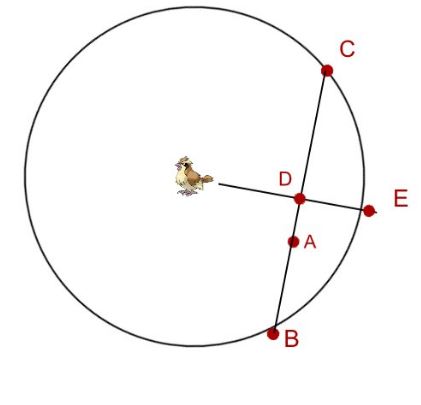 Tracking Pokemon using Sightings by redditor Zakrael (image source: gamenguide.com)