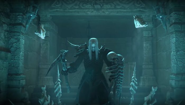 Diablo 3 closed beta necromancer class