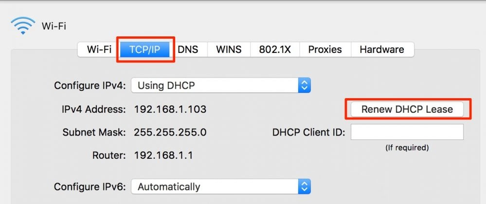 renew ip mac os x terminal